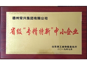 市級“專精特新”中小企業(yè)