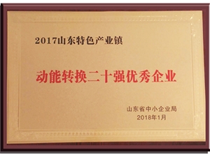 動能轉(zhuǎn)換二十強優(yōu)秀企業(yè)